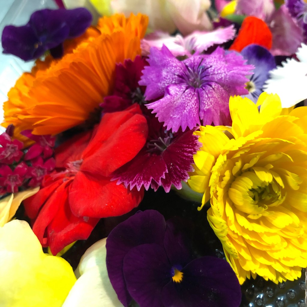 Flores comestibles